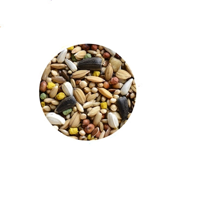 Hrana pentru agapornisi Wellness 850g